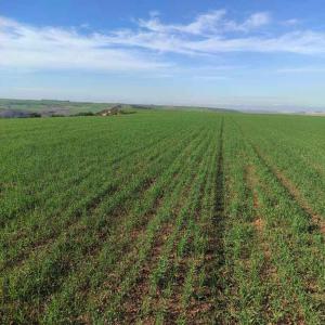  Investissement Unique: 25,4 Rommani,rabat - autres vous revez d'un projet agricole ou énergétique en plein cœur du maroc ? ce terrain agricole titré de 25, 4 hectares à rommani,  rabat,  est votre opportunité. imaginez des vergers d'oliviers,  la culture de plantes médicinales rares,  ou une ferme solaire q