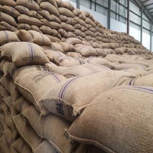  Cacao Vendre - semence graine plant nous disposons actuellement d'une grande quantité de cacao en côte d'ivoire. venez à nous directement sur whatsapp pour tout besoin. le prix au kilo est de 5000 fcfa livré à lomé et au bénin.