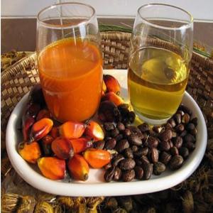  Huile De Palme Et Huile De Palmiste - huiles  **huile de palme** extraite du m&eacute;socarpe du fruit du palmier &agrave; huile cette huile est utilis&eacute;e dans diverses applications culinaires et industrielles. **huile de palmiste** produite &agrave; partir des graines ou noyaux du fruit du palmier &agrave; huile cette huile po