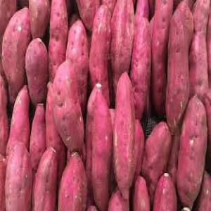  Patate Douce - fruits et légumes nous mettons &agrave; la disposition de toutes personnes d&eacute;sirant se procurer de la patate douce nous avons de disponible depuis la c&ocirc;te d'ivoire.