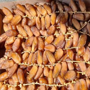  Dattes Deglet Nour - fruits et légumes salut tout les monde ,   la nouvelle récolte des dattes tunisiennes s'approche si vous etes intéressé par la quantité et surtout la qualité supérieure n'hésitez pas à nous contacter ,  pour réserver et passer vos commandes . l'emballage se