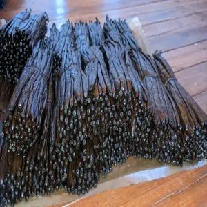  Je Cherche Des Clients De La Vanille De Mada. - publicité-nouveaux produits je cherche des partenaires acheteurs de la vanille de madagascar.--prix tr&egrave;s abordable--(a partir de 200.000ar/kg)--vanille bourbon tk noir 16 &agrave; 20cm, r&eacute;colte 2023.--bien parfum&eacute;e et prete &agrave; exporter.--exportation possible &agrave; partir d'un kg via dhl madagascar.