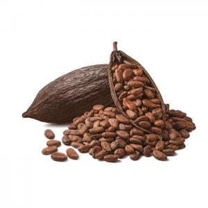  Cherche Partenaire Pour Le Négoce De Cacao - café cacao thé entreprise basée en rd congo cherche un partenaire pour le négoce international du cacao. ayant travaillé dans le secteur de l'agrobusiness pendant plusieurs années et réalisé un chiffre d'affaires de plus de 500k$ dans l'export du cacao et du caoutchouc,  l'