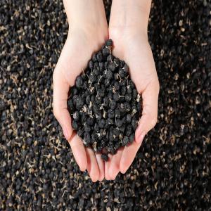  Grossiste Goji Noir Lycium Ruthenicum - fruits secs et graines grillées nous sommes grossiste exportateur de baies de lycium ruthenicum (goji noir) plusieurs grades et appellation d'origine disponibles tr&egrave;s bons prix interlocuteur francais envoi rapide vers le monde entier. merci de nous contacter si besoin. la baie du lycium ruthenicum sauvage (aussi appel&ea