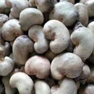  Maïs Jaune/blanc, Soja Sésame Et Cajou - autres bonjour chers membres d'espace agro,   nous sommes une société d'import- export,  nous exportons des graines de maïs jaune et blanc,  graines de sésame,  des graines de sojaet des noix d'acajou  brut et non décortiquer . nous avons une grande capacité de stock.nous vou