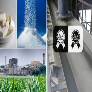  Sucre Icumsa 45 Certifié Halal Disponible - produits sucrés sucre icumsa 45 - certifié halal - disponible immédiatement----quantité disponible - 35 500 tonnes--emballage - sacs de 50 kg--prix - cif 850 usd--commande minimum - 300 mt (un conteneur contient 25 mt)--modalités de paiement ---tt (virement télégraphique) o