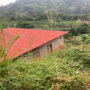  Vente Urgente D'un Terrain Titré Et Loti - mine terrain concession &agrave; vendre terrain titr&eacute; et loti &agrave; nkolondom prix 2.500.000 fcfa (non n&eacute;gociable) superficie 600 m² description nous proposons en vente urgente un terrain titr&eacute; et loti situ&eacute; &agrave; nkolondom &agrave; seulement 3 5 km du lyc&eacute;e de nkolondo