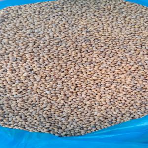  Céréale Bon Prix - céréales s nous disposons de divers c&eacute;r&eacute;ales millet moutarde bl&eacute; et autres n h&eacute;siter pas &agrave; demander . camion complet ou bateaux 5000mt cordialement 