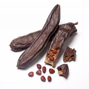  Caroube - fruits et légumes anthelminthique et diur&eacute;tique. il est utilis&eacute; pour rincer les dents et les gencives. il calme les mouvements excessifs des muscles intestinaux et rend les selles semi s&egrave;ches r&eacute;duisant ainsi la perte de sels et leur d&eacute;s&eacute;quilibre dans l'organisme. il est &eac