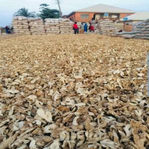  Dried Ginger Non Gmo - aromatic spices we have 2 000 tons of premium naturally dried ginger for sale. gmo free no additives pure organic exw price $ 2 406usd / ton healthy product for a better life !