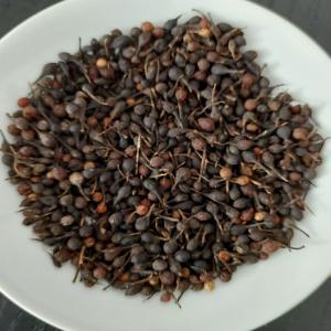  Recherche Fourni Locaux Poivre Voatsiperifery - épices aromates bonjour, ----mes partenaires et moi-meme sommes à la recherche de fournisseur(s)/partenaire(s) locaux pour l'achat de poivre sauvage de madagascar. nous sommes à la recherche de produits de qualité à destination d'une clientèle exigeante.--possibilité d'un pa