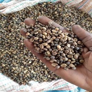  Grains De Café Et Café Vert - café cacao thé le ccicsgroup cherche un fournisseur sérieux de grains de café et de café vert.--merci de nous contacter sur whatsapp 