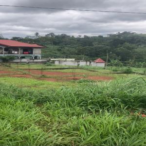  Vendre Parcelle De Terrain Avec Fondation - mine terrain concession &agrave; vendre parcelle de terrain avec fondation   yaound&eacute; nkoabang prix 22 millions fcfa superficie totale 1565 m² superficie de la fondation 400 m² saisissez cette occasion unique ! ce terrain titr&eacute; et loti situ&eacute; &agrave; yaound&eacute; nkoabang apr&egrave;s