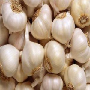  Whole White Garlic, Fresh Garlic In Bulk - fruits et légumes products- new crop fresh natural pure white garlic----varieties- snow white garlic, super white garlic, vietnam white garlic----size- 3-4.5cm,  4.5cm,  5cm,  5.5cm,  6cm,  6.5cm and up----edibleness- reducing bacteria,  keeping the heart in good condition and immunity----supplying period- all the year round