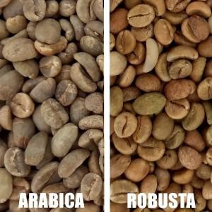  Café Robusta En Déstockage - café cacao thé actuellement,  nous disposons de 2000 tonnes de café robusta bien sec en côte d'ivoire. --prix fob - 2600 fcfa/ kilo --prix cif- 2800 fcfa/ kilo.--besoin uniquement d'acheteurs sérieux. --écrivez nous directement par mail ou whatsapp. merci 