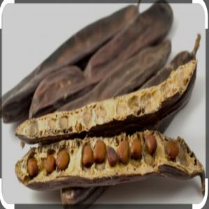  Exportation De La Caroube - autres exportation de la caroube.. toutes quantite's demande' ..sechee' ..des cornes .. emballe' ..trie' ..propre ..