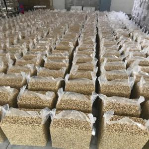  Shelled Cashew Nuts Available - vegetable matter we are in partnership with a large cashew processing industry in india. currently we have a quantity of cashew kernels available with good price. deliverable all over the world. no restriction