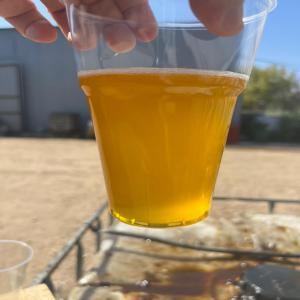  Huile De Friture Recyclé - huiles huiles de friture recycl&eacute; pour la production de bio carburant--qualit&eacute; sup&eacute;rieure --prix tr&egrave;s attrayant --commande minimum de 1 conteneur de 20 pieds 23 tonnes --emballage en flexi tank