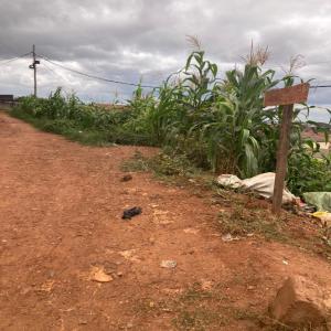  Vendre Terrain Commercial Titré Et Loti - mine terrain concession à vendre - terrain commercial titré et loti – ngousso--prix - 60.000 fcfa/m²--superficie disponible - environ 578 m²,  morcelable--localisation - bordure de route secondaire bitumée,  à 1, 6 km de la pharmacie bleue et de l'hôpital général--saisissez cett