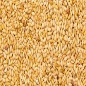  Soy, Sesame, Cashew, White And Yellow Corn - cereals hello dear all,  i hope you are doing very well? for anyone wishing to buy soya,  sesame,  unshelled cashew,  yellow and white corn in benin whatever the quantity,  we are available to help them in the acquisition in a safe and reliable manner. we are a serious company with several years of experience in