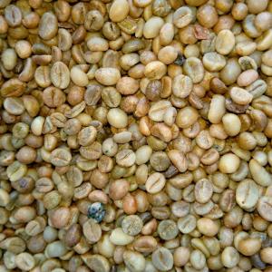  Recherche De Fournisseurs De Café Vert Robust - café cacao thé nous sommes en urgence à la recherche de fournisseurs de café vert robusta pour une quantité de 20 tonnes ou plus. le prix proposé est de 2200 fcfa/kg,  paiement en espèce uniquement à abidjan.----si vous etes intéressé et en mesure de fournir r
