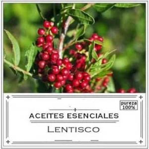  Lhuile Esencial - huiles bonjour nos some société espagnol travaillons dans le domaine l'huile essentielle de plusieurs variétés. l'huile du lentisque.percais.monthe.remarain.ect nous cherchons des clients das l'union européenne 
