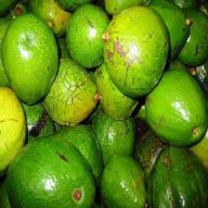  Avocat En Vente En Grande Quantité - fruits et légumes bonjour ,  nous sommes une entreprise agricole et nous disposons de d'avocat en grande quantité ,  nous sommes a la recherche d'acheteur sérieux pour exporter 