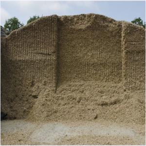  Ensilage De Maïs - céréales  agriculteur dans la manche (france). je vends 200 tonnes d'ensilage de maïs r&eacute;colte 2023 pour m&eacute;thaniseur. faire offre.