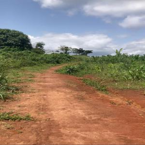 Vendre Terrain Titré Et Loti Nkometou - mine terrain concession à vendre - terrain titré et loti – nkometou--prix - 6.500.000 fcfa (non discutable)--superficie - 2000 m²--occasion à saisir ! ce terrain titré et loti à nkometou,  situé à 3, 5 km du goudron au lieu-dit essong-mitsang,  représente une opportunit&