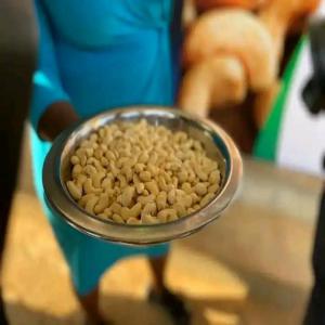  Vente De Noi De Cajou - fruits secs et graines grillées après la production de noix de cajou,  de graines et d'épices,  nos producteurs mettent ces produits à disposition des commerçants en moyennes et grandes quantités souhaitant les exporter hors d'afrique. basés en france,  nous assurons toutes les livraisons sel