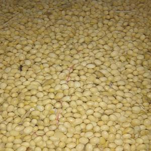  Recherche De Clients Exerçant Dans Dans Le Do - céréales nous sommes &agrave; la recherche des clients pour nos produits t&eacute;l que le soja beurre de karit&eacute; s&eacute;same noix de karit&eacute; 