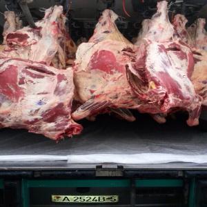  Porc Congelé Pour La Consommation Humaine - viandes et oeufs nous produisons et fournissons du porc congelé de la meilleure qualité et toutes ses parties. nous disposons des plus grands stocks et fournissons dans le monde entier aux meilleurs tarifs du marché. contactez-nous afin que nous puissions vous faire notre devis.----pourquoi nous
