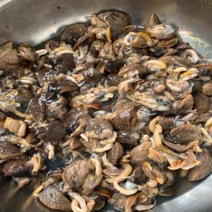  Vente De Chair D'escargots - viandes et oeufs nous sommes une entreprise agricole et nous mettons sur le marché national camerounais 200kg de chair d'escargots et 50litres de bave d'escargot. nous profitons de cette occasion pour vous informer que ces produits sont disponibles sur toute l'année 