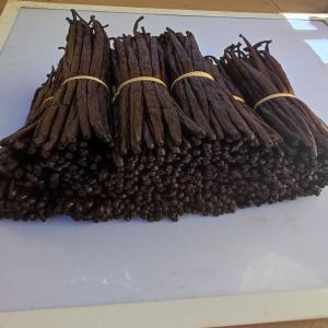  Vanilla Beans Supplier From Madagascar - aromatic spices we are vanilla beans supplier from madagascar supply best quality dried vanilla beans bourbon at the most reasonable price fast delivery to your preferable destination and follow international quality market .can make money also. specification item name vanilla beans length 14cm 20cm moisture
