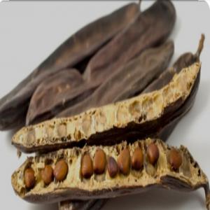  Exporter Des Fruits Secs De Haute Qualité - fruits secs et graines grillées je recherche un fournisseur ou client pour acheter des fruits secs alg&eacute;riens de haute qualit&eacute;,  comme la caroube,  pour la fabrication du chocolat et l'utiliser pour plusieurs choses et pour la pharmacie,  &agrave; bon prix et en quantit&eacute; selon la demande du fournisseur pour import