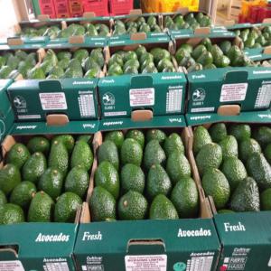  Produits Du Maghreb - autres découvrez votre partenaire de confiance pour l'import-export de produits alimentaires et non alimentaires du maghreb !----depuis de nombreuses années,  notre société est spécialisée dans l'importation et l'exportation de produits en provenance du maghreb. for