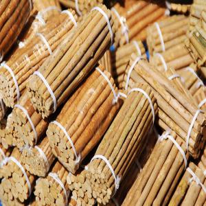 Fournisseur De Siwak - publicité-nouveaux produits je suis un fournisseur de siwak merci de nous contacter pour une affaire de très intéressante qualité supérieure prix très intéressant merci de vous connectez 