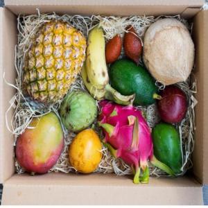  Fruits Exotiques Banane,avocat,mange,citron - fruits et légumes bonjour,  nous sommes distributeurs de fruits et légumes exotiques depuis l'amérique latine colombie , pérou , equateur nous vendons la banane cavendish,  la banane plantain,  les citron vert de tahïti,  les fruits de la passion ,  la mangue etc.. nous pouvons vous livrer cif à 