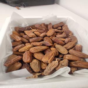  Dattes Sèche/ Dry Dates For Industry - fruits et légumes bonjour--nous sommes en tunisie --nous mettons a votre disposition des grosses quantités des dattes sèche pour l'industrie (extraction et valorisation)----svp c'est une annonce pour les sérieux.--merci