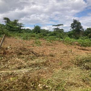  Magnifique Terrain Titré Vendre Yaounde- - mine terrain concession magnifique terrain titr&eacute; &agrave; vendre &agrave; yaounde mbamkomo prix 15 000 fcfa le m² superficies disponibles   3 000 m²   1 024 m²   1 500 m² morc&egrave;lement possible &agrave; partir de 500 m² d&eacute;couvrez ce terrain titr&eacute; et lotis situ&eacute; &agrave; el