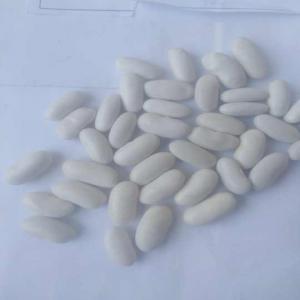  Haricots Sec - fruits et légumes nous exportons des produits locaux comme haricots blanc ou rouge...vanille,  &eacute;pice...nos produits sont bio et de bonne qualit&eacute; avec du prix rentable.