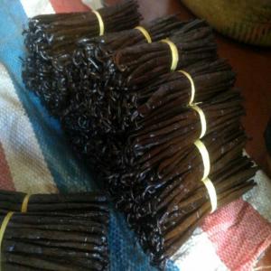  Wholesale Vanilla Beans From Madagascar - aromatic spices we are vanilla beans exporter from madagascar furnish best quality dried vanilla beans bourbon at the most reasonable price fast delivery to your preferable destination and follow international quality market . specification item name vanilla beans length 14cm 20cm moisture 30% 35% vanillin 
