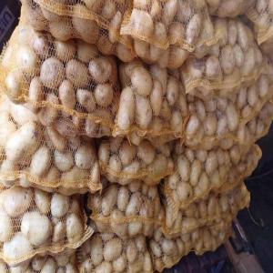  Pommes De Terre - féculents pommes de terre en sac de 10 kg ou 25 kg. stock en france. vari&eacute;t&eacute; monalisa ceasar spunta rousseau (rouge) origine france cat&eacute;gorie 1 non lav&eacute;e calibre 55+ contactez nous pour une cotation en indiquant la quantit&eacute; que vous souhaitez.
