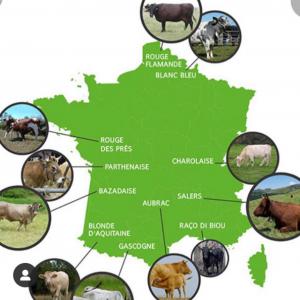  Fournisseur De Genisses Laitieres Et Veaux - animaux vivants fournisseur de genisses laitieres de race - (holnstein,  montbeliarde, simmental ),  et veaux d'engraissement de race - ( montbeliarde ,  croisés,  aubrac,  charolais ,  limousins). installé en france ,  pour tout renseignement n'hésitez pas à nous contacter.
