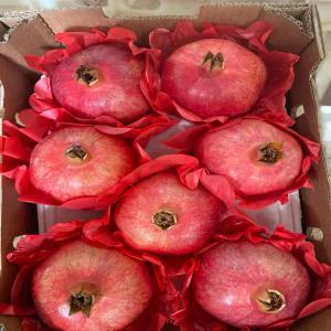  Grenade Fruit - fruits et légumes c est la saison des grenades fruit au maroc avec qualit&eacute; sup&eacute;rieur en toute sorte de conditionnement. contacter nous pour plus d information