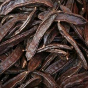  Vente Des Fruits Du Caroubier Algérien - fruits et légumes vente des fruits du caroubier alg&eacute;rien. c'est la saison de r&eacute;colte des fruits du caroubier dans les champs et les fermes alg&eacute;riennes. ils sont disponibles en abondance cette ann&eacute;e,  et la vente se fera en personne ou par accord d'annonceur. la vente se fait sans minimum &a