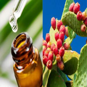  Huile De Pépins De Figue Bio/ecocert Tunisie - huiles nous sommes fiers de proposer des huiles végétales 100% naturelles,  certifiées ecocert et issues de l'agriculture biologique. notre spécialité,  l'huile de pépins de figue de barbarie,  est extraite à froid dans notre propre usine,  garantissant une qual