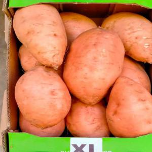  Fruits Et Légumes Fraîcheur Garantie - fruits et légumes offre internationale de fruits l&eacute;gumes et produits alimentaires en gros 🌍🍇🍅 vous etes distributeur ou commer&ccedil;ant &agrave; la recherche de fournisseurs fiables et comp&eacute;titifs de fruits l&eacute;gumes et autres produits alimentaires ? nous sommes sp&