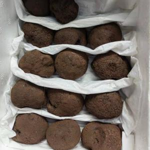  Truffle Mushrooms For Sale - other black truffle mushrooms magic truffles for wholesale brand name truffles mushrooms type fungi color black source wild usage healthy food part whole processing type raw shelf life 5 10 days weight (carton) 10kg /carton size 2 3 cm storage 2 5 c in cooler package carton wi