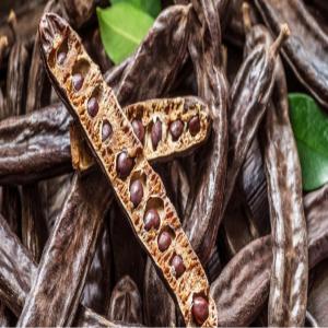 Vente De Caroube D'origine Algérienne - fruits et légumes nous mettons en vente de grandes quantit&eacute;s de caroube 100% naturelle d'origine alg&eacute;rienne reconnue pour sa qualit&eacute; sup&eacute;rieure et ses nombreuses applications. la caroube que nous proposons peut etre utilis&eacute;e dans divers secteurs tels que la pharmacie la productio